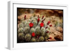 Desert Flower 3-LightBoxJournal-Framed Giclee Print