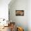 Desert Flower 3-LightBoxJournal-Mounted Giclee Print displayed on a wall