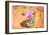 Desert Flower 4-LightBoxJournal-Framed Giclee Print