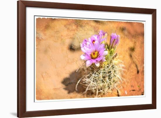 Desert Flower 4-LightBoxJournal-Framed Giclee Print