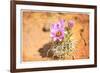 Desert Flower 4-LightBoxJournal-Framed Giclee Print