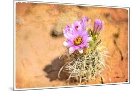 Desert Flower 4-LightBoxJournal-Mounted Giclee Print