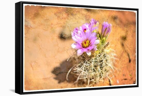 Desert Flower 4-LightBoxJournal-Framed Stretched Canvas