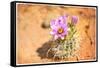 Desert Flower 4-LightBoxJournal-Framed Stretched Canvas