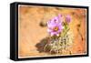 Desert Flower 4-LightBoxJournal-Framed Stretched Canvas