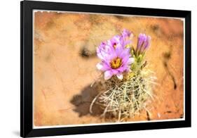 Desert Flower 4-LightBoxJournal-Framed Premium Giclee Print