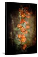 Desert Flower 5-LightBoxJournal-Framed Stretched Canvas