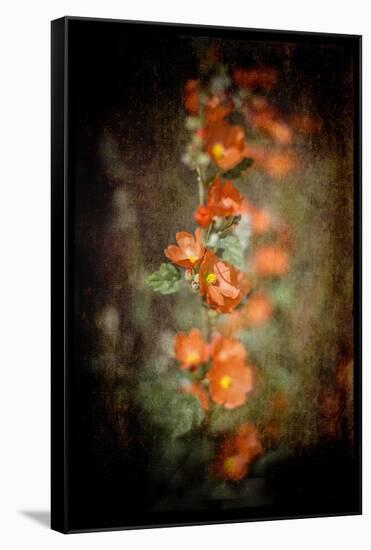 Desert Flower 5-LightBoxJournal-Framed Stretched Canvas