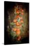 Desert Flower 5-LightBoxJournal-Stretched Canvas