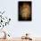 Desert Flower 5-LightBoxJournal-Giclee Print displayed on a wall