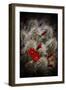 Desert Flower 6-LightBoxJournal-Framed Giclee Print