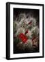Desert Flower 6-LightBoxJournal-Framed Giclee Print