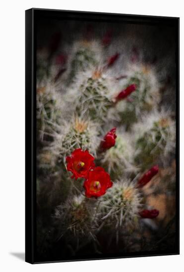 Desert Flower 6-LightBoxJournal-Framed Stretched Canvas