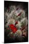 Desert Flower 6-LightBoxJournal-Mounted Premium Giclee Print