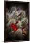 Desert Flower 6-LightBoxJournal-Framed Giclee Print