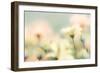 Desert Flowers I-Kathy Mahan-Framed Photographic Print