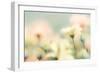 Desert Flowers I-Kathy Mahan-Framed Photographic Print