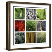 Desert Flowers-Mary Karla-Framed Giclee Print