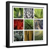 Desert Flowers-Mary Karla-Framed Giclee Print