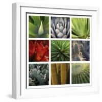 Desert Flowers-Mary Karla-Framed Giclee Print