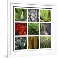 Desert Flowers-Mary Karla-Framed Giclee Print