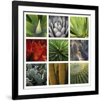 Desert Flowers-Mary Karla-Framed Giclee Print