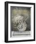 Desert Form I-Elena Ray-Framed Art Print