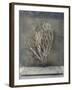 Desert Form III-Elena Ray-Framed Art Print