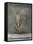 Desert Form III-Elena Ray-Framed Stretched Canvas