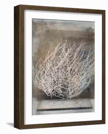 Desert Form V-Elena Ray-Framed Art Print