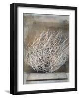 Desert Form V-Elena Ray-Framed Art Print