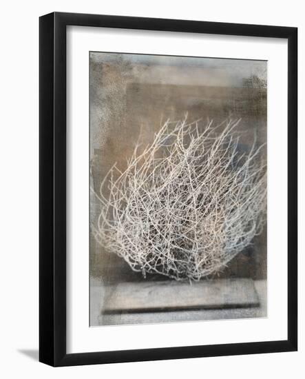 Desert Form V-Elena Ray-Framed Art Print