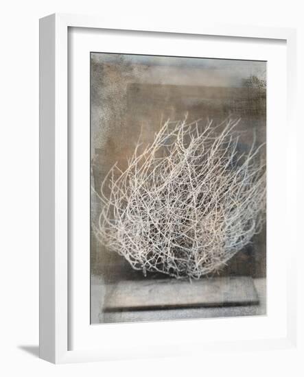 Desert Form V-Elena Ray-Framed Art Print