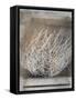 Desert Form V-Elena Ray-Framed Stretched Canvas