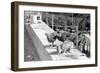 Desert Fox 1972-Staff-Framed Photographic Print