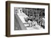 Desert Fox 1972-Staff-Framed Photographic Print