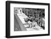 Desert Fox 1972-Staff-Framed Photographic Print