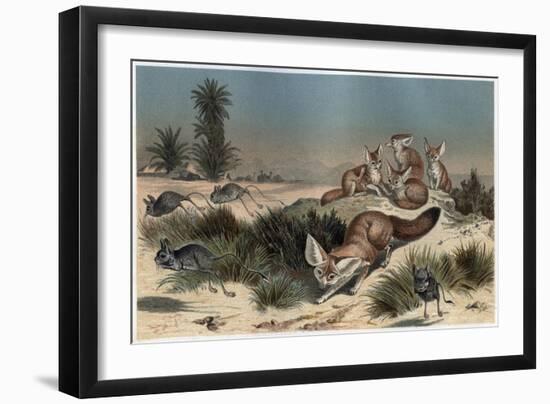 Desert Fox by Alfred Edmund Brehm-Stefano Bianchetti-Framed Giclee Print