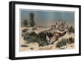 Desert Fox by Alfred Edmund Brehm-Stefano Bianchetti-Framed Giclee Print