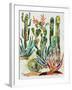 Desert Garden I-Gina Ritter-Framed Art Print