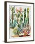 Desert Garden I-Gina Ritter-Framed Art Print