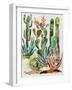 Desert Garden I-Gina Ritter-Framed Art Print