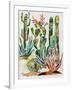 Desert Garden I-Gina Ritter-Framed Art Print