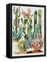 Desert Garden I-Gina Ritter-Framed Stretched Canvas