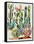 Desert Garden I-Gina Ritter-Framed Stretched Canvas