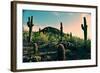 Desert Garden in Arizona-null-Framed Photo