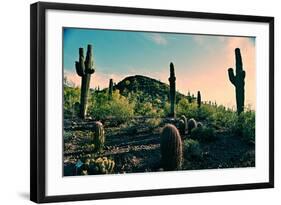 Desert Garden in Arizona-null-Framed Photo