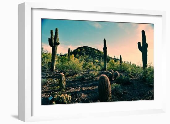 Desert Garden in Arizona-null-Framed Photo