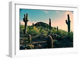 Desert Garden in Arizona-null-Framed Photo