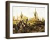 Desert Garden-Mark Chandon-Framed Giclee Print